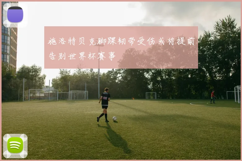 施洛特贝克脚踝韧带受伤或将提前告别世界杯赛事